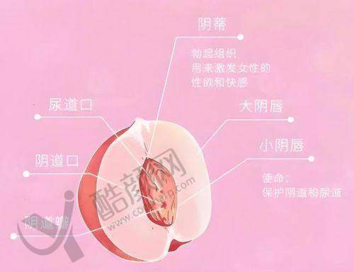 八、重庆安琪儿妇产医院真实的顾客评价如下：