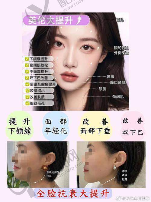 李建东项目价格表参考