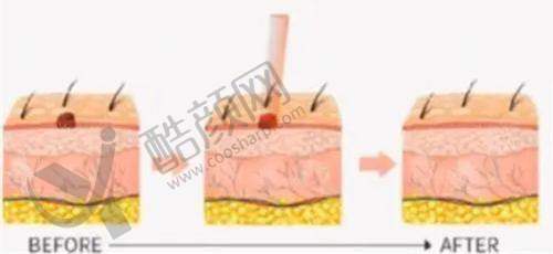 五、哈尔滨羽禅医疗美容门诊部基本信息：