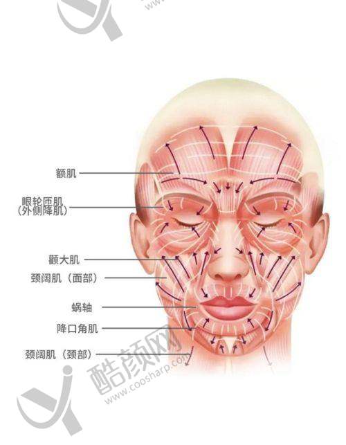 北京穆宝安拉皮口碑评价