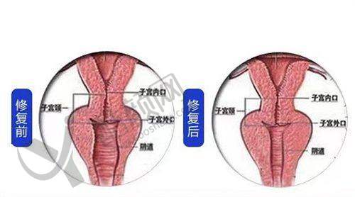 七、哈尔滨月几国 际医美中 心价格表：（仅供参考）