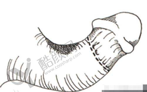 七、南阳市第三医院美容科价格表：（仅供参考）