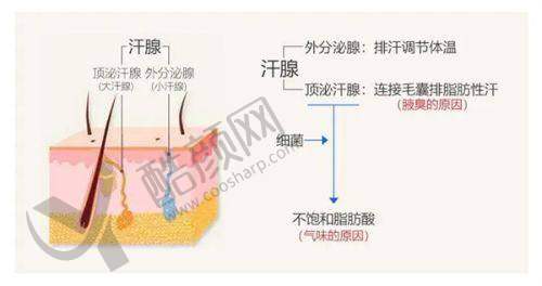 六、邵阳纤丽医疗美容门诊部怎么预约：