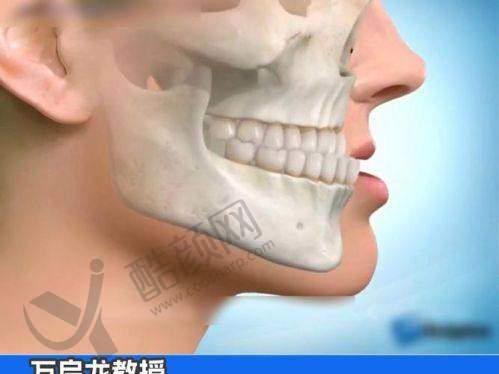 张福胤项目价格表参考