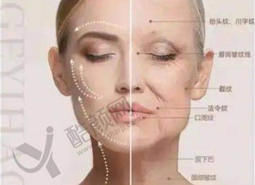 杨欣项目价格表参考