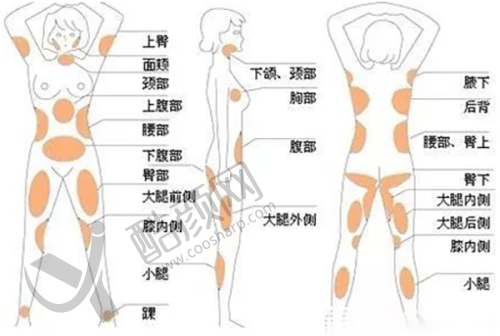 2025新版沈阳杏林整形美容医院：便捷的联系与预约方式