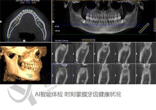 上海鼎植赵艳宇个人资料及简历