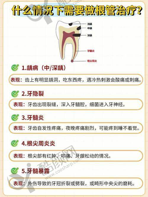 上海鼎植周建亭个人资质