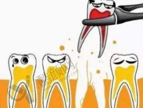 上海赵鹏和蔡跃波：真人实例见真章