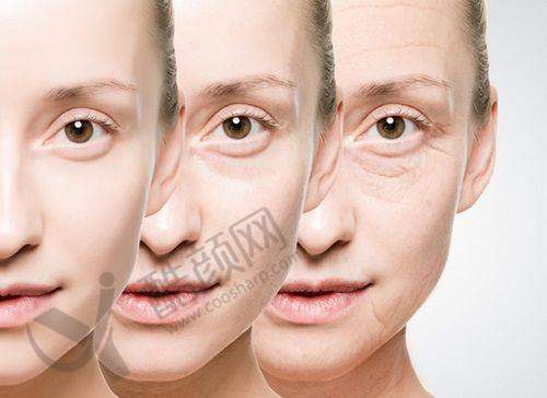 上海赵鹏和蔡跃波：过来人评价参考