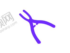 六、西安诺贝尔口腔门诊部可以走医疗保险吗?