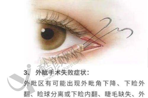 杨庆华个人资料及简历