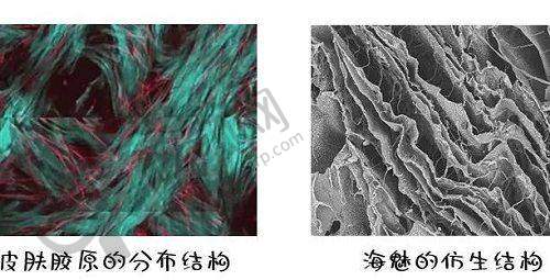 成都米兰柏羽整形医院的医生实力