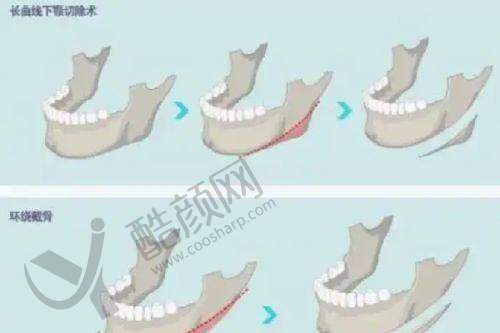 杨庆华个人资质