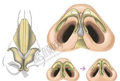 魏皎医生擅长项目