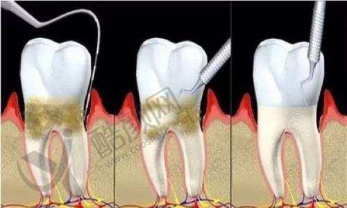 久久口腔门诊股东及出资情况