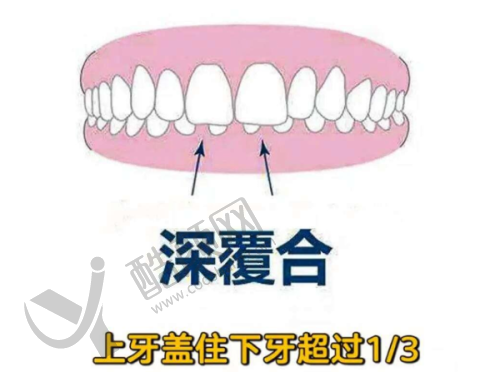 上海中博惠众口腔医院根管治疗的医生团队