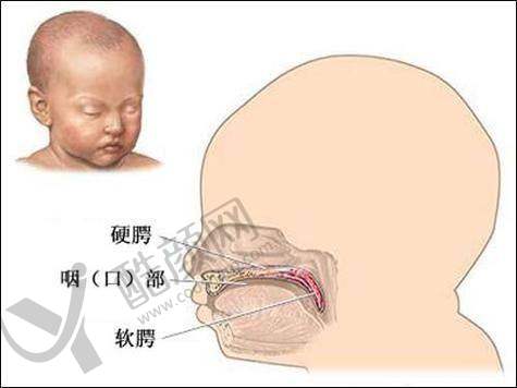 八大处宋涛:怎么预约?