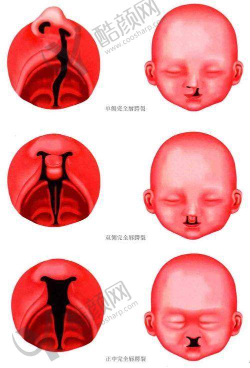 八大处宋涛:口碑和评价