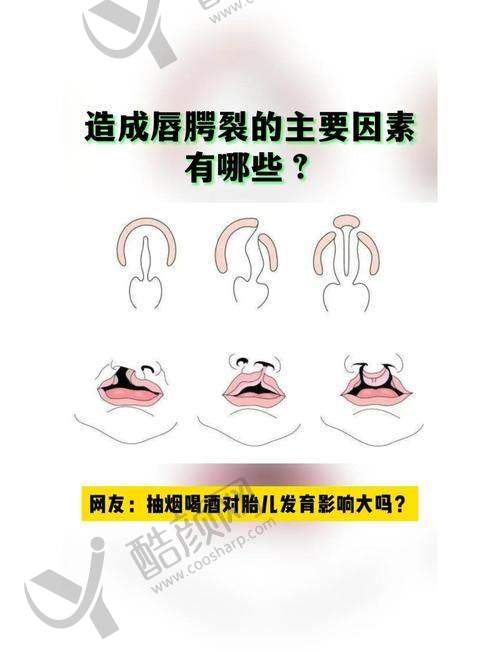 八大处宋涛:项目价格表参考