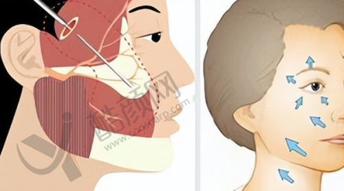 七、株洲河西华美医疗美容医院价格表:(仅供参考)