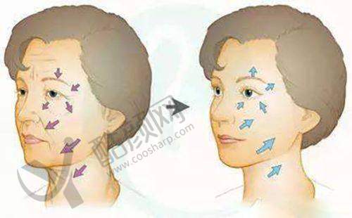 罗飓元口碑和评价