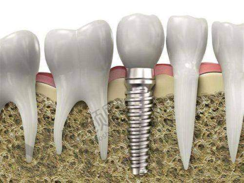 肖步挺个人资料及简历
