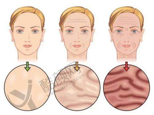 白馨月医生擅长项目