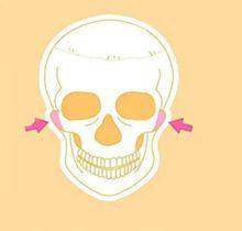 罗飓元怎么预约？