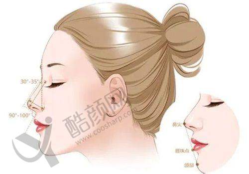 深圳艺星文丰怎么预约？