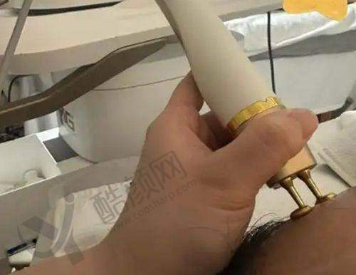 杨东运项目价格表参考