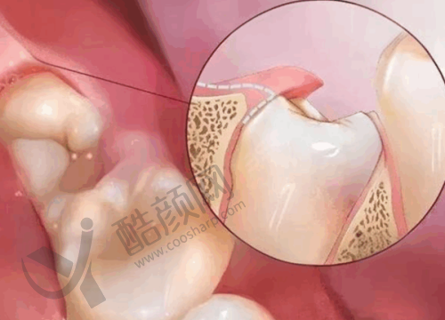 沈阳九诺口腔的价格优势