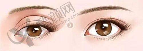 杨东运个人资质