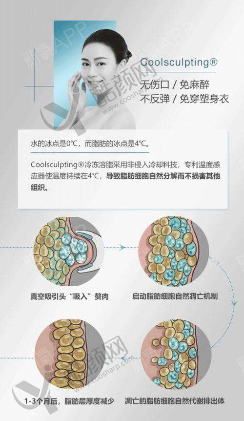 杨东运个人资料及简历