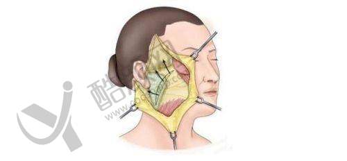 广州研媄荟聂云飞个人资质