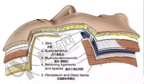 广州研媄荟聂云飞在哪家医院